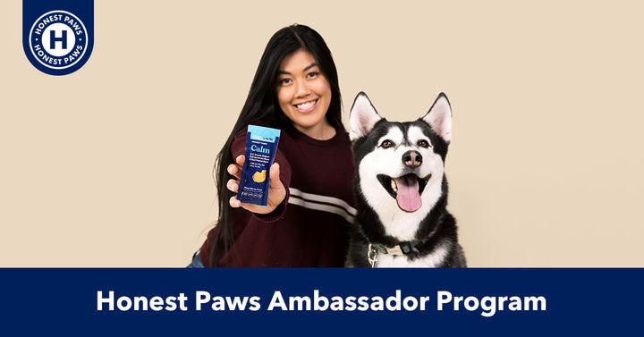 Honest Paws Ambassador Program