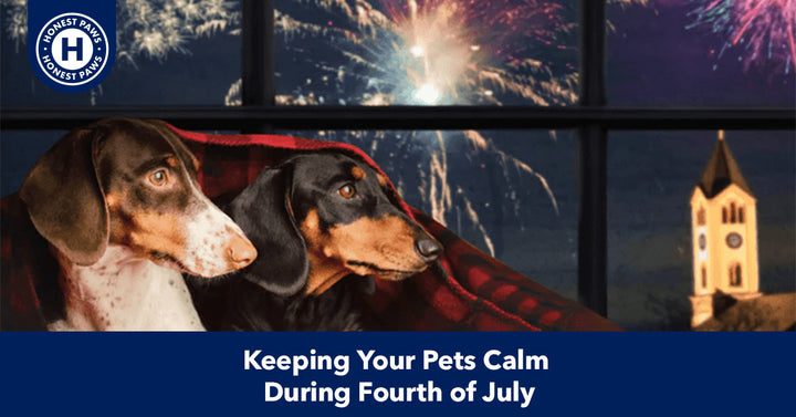 Keeping Your Pets Calm During Fourth of July