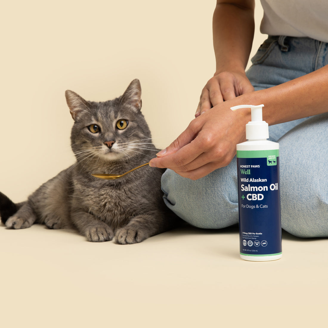 gray senior cat being fed a spoonful of wild alaskan salmon oil with cbd