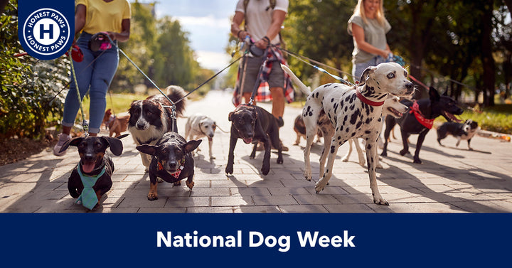 Celebrating National Dog Week