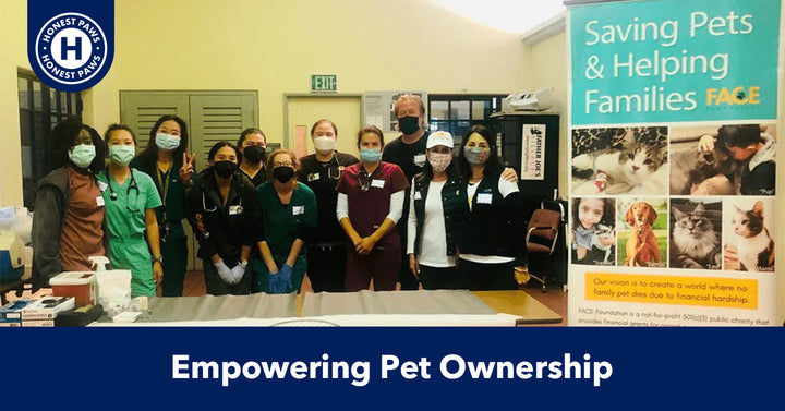 Empowering Pet Ownership: The Street Dog Coalition's Impact on Vulnerable Communities