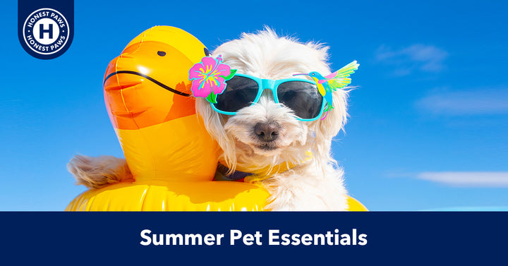 "Beat the Heat" Summer Pet Essentials